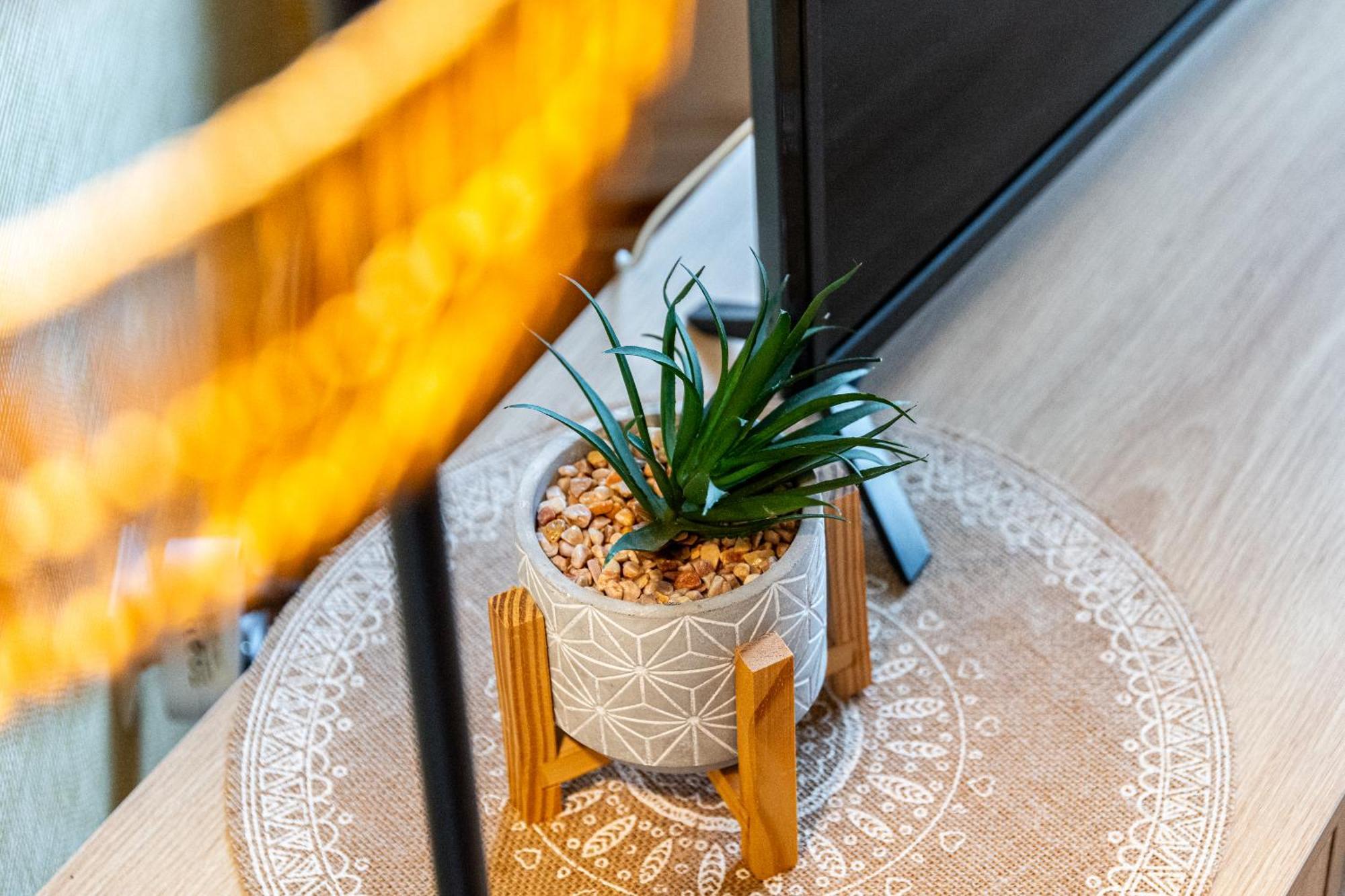 Appartement Parking Dijon Proche Centre Wilson Zewnętrze zdjęcie
